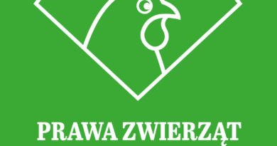 Prawa zwierząt