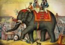 Czy ten słoń zapisze się w historii Kościoła?