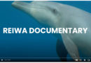 Reiwa documentary