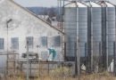 Emisje pod ochroną prawną? Poselskie projekty zmian prawa wspierają fermy przemysłowe