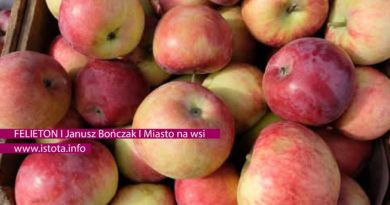 Miasto na wsi Miasto na wsi
