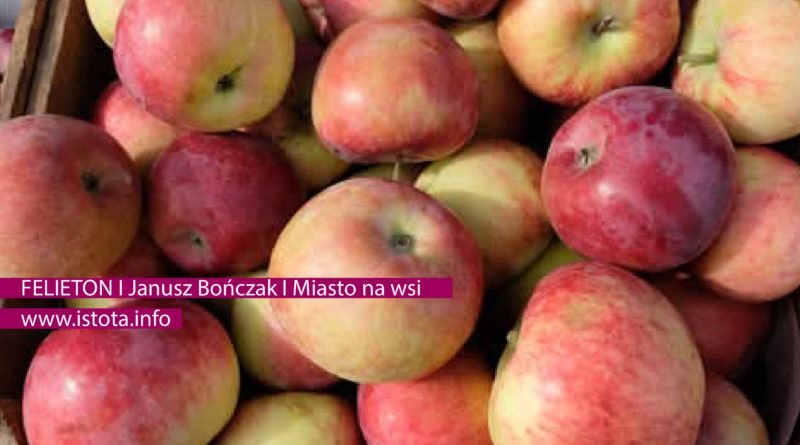 Miasto na wsi