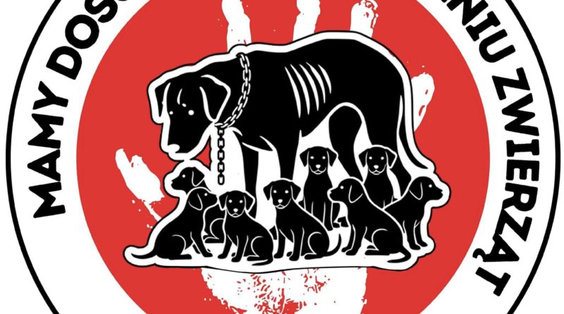 Protest w sprawie bezdomności zwierząt przed Sejmem Protest w sprawie bezdomności zwierząt przed Sejmem