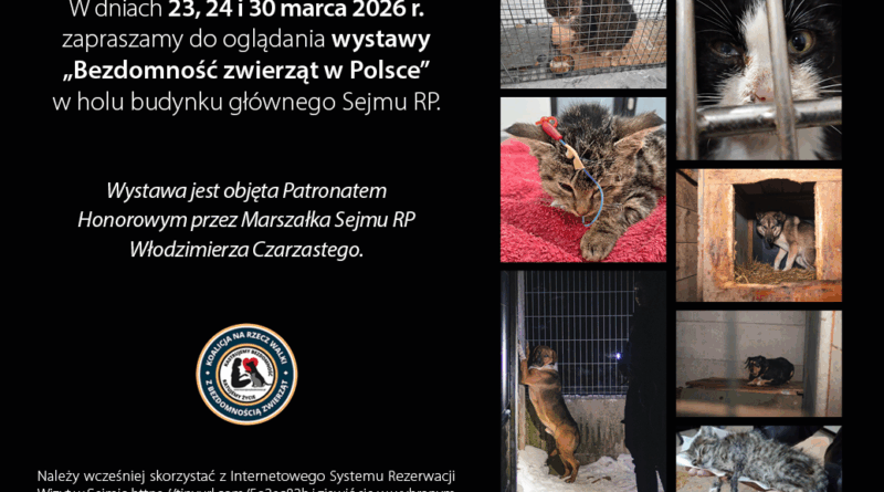 Wystawa „Bezdomność zwierząt w Polsce” w Sejmie RP Wystawa „Bezdomność zwierząt w Polsce” w Sejmie RP